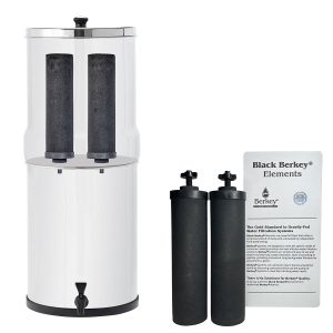 Elementos filtrantes Berkey negros