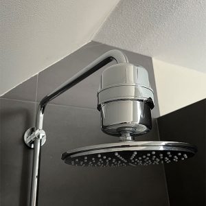 shower filter installed on shower head