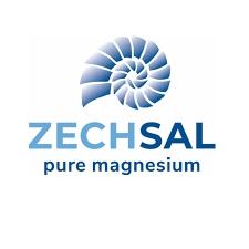 Logotipo de Zechsal